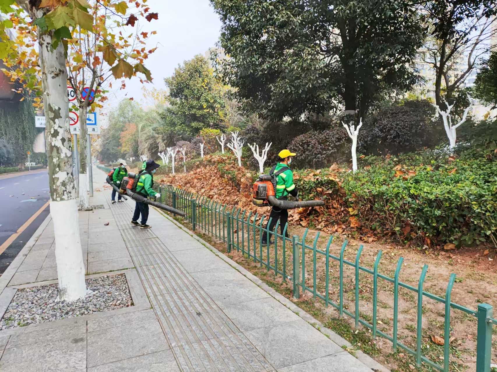 ������ ��Ҷ��ɨ�����ٶȡ��ػ����ճ�����